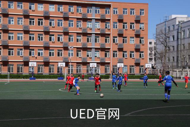 UED官网公司简介