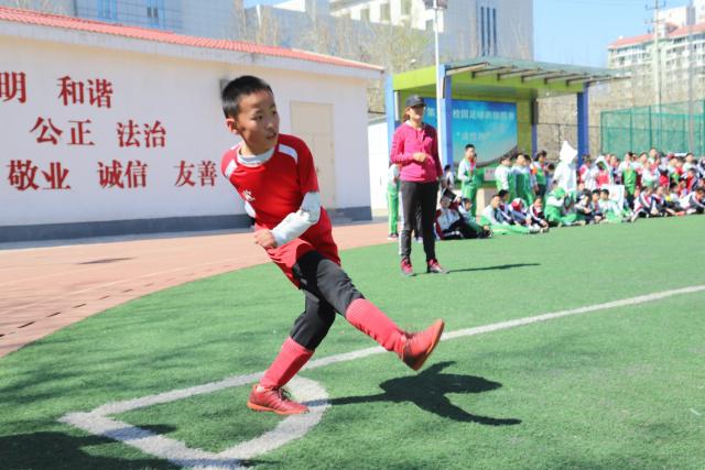 UED官网APP界面图